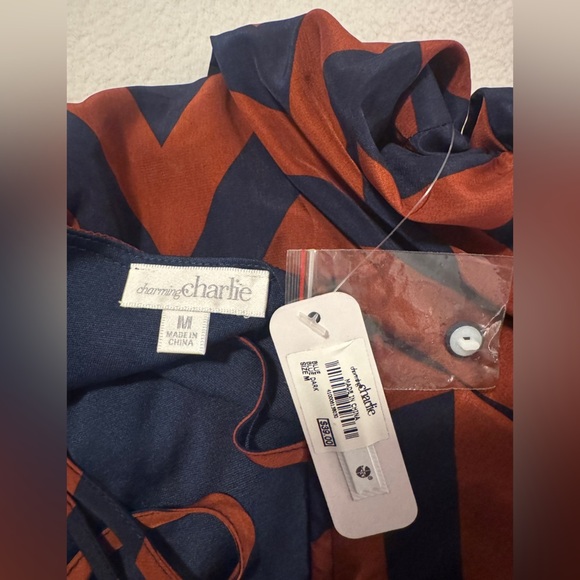 Women’s NWT Charming Charlie Dress - Picture 3 of 6